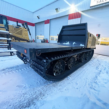 Image 6 - 2019 Prinoth Panther T8 Crawler Dumper